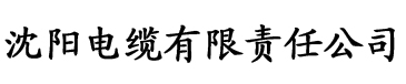 成版人抖音视频app电缆厂logo